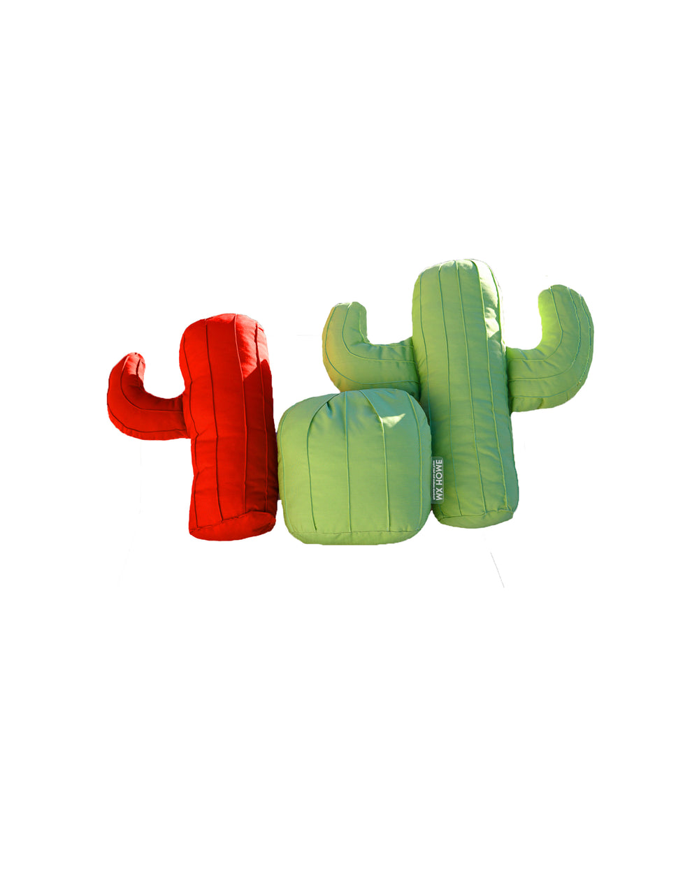 Coussin cactus - Effet raphia ou vert - MXHOME