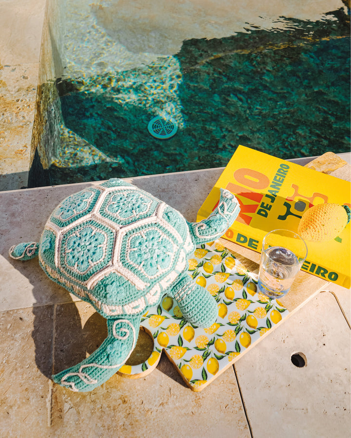 Coussin tortue crochet - Turquoise - Intérieur - MXHOME